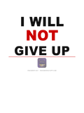 046 statement i