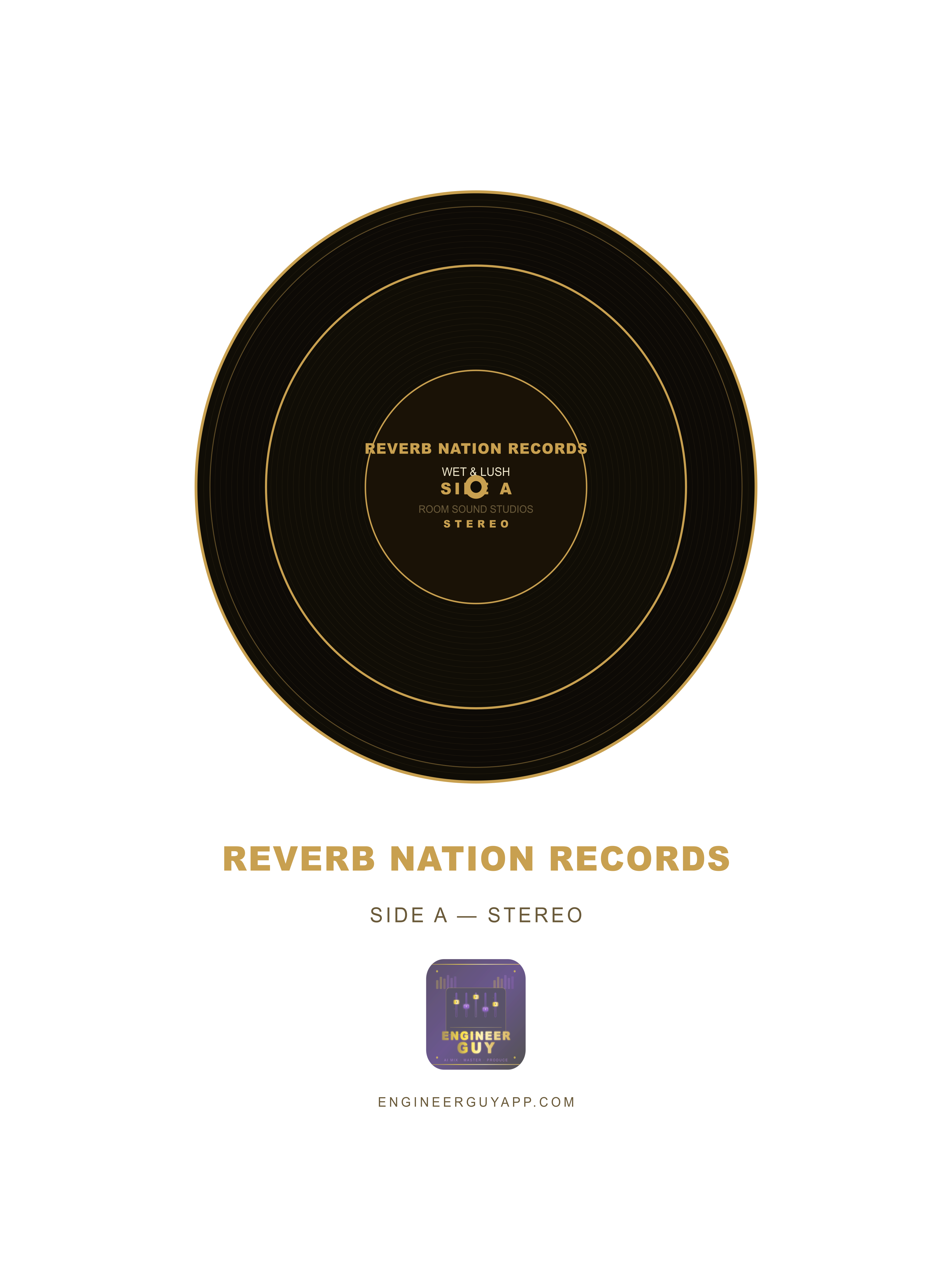 050 vinyl reverb